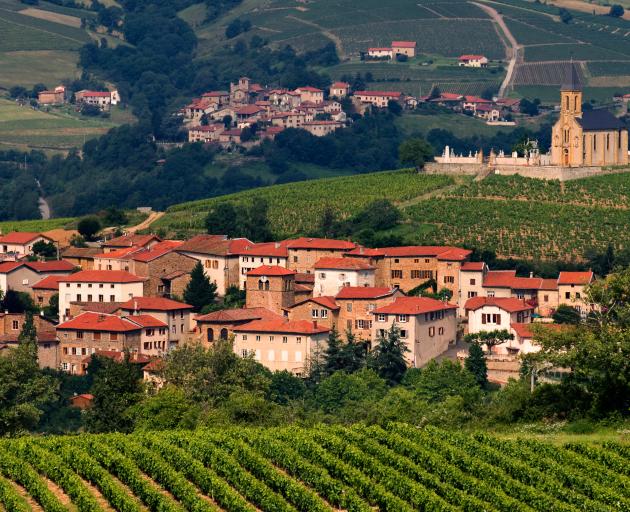 The rich countryside of the Beaujolais wine region. Photo: Getty Images