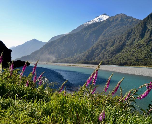 The road meanders along the Haast River. PHOTOS: JANE KING
...