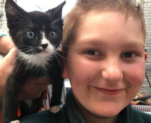 Tazy, the kitten, bonds with his new owner Frans Duplessis (11) after enduring a rough start in...