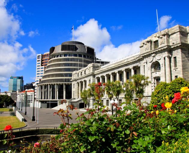 Fifteen submitters didn't get a chance to speak at Parliament today. Photo: Getty Images 