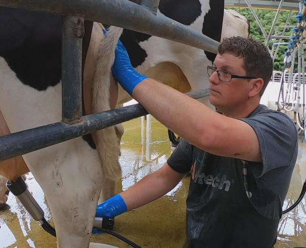 Logan Johnson, of Farm Fresh South, milks some of the business's cows to provide raw milk for sale and delivery to clients in and around Invercargill and Dunedin. Photo: Supplied