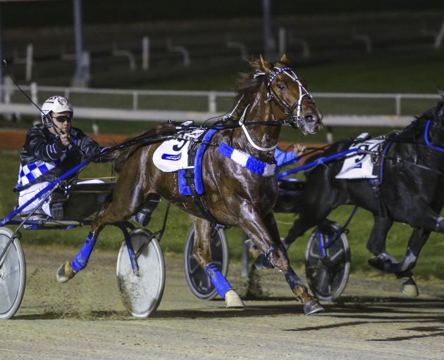 Oamaru trotter Ultimate Stride and driver Nathan Williamson beat Midnight Dash and Ricky May to...