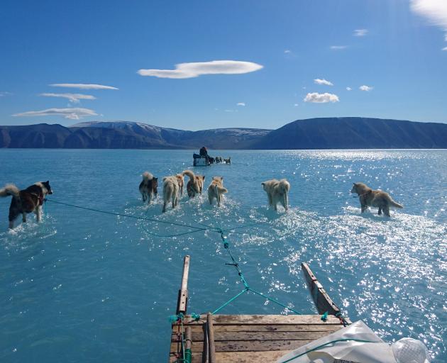 Scientists setting out to retrieve monitoring equipment in Greenland last week found themselves...