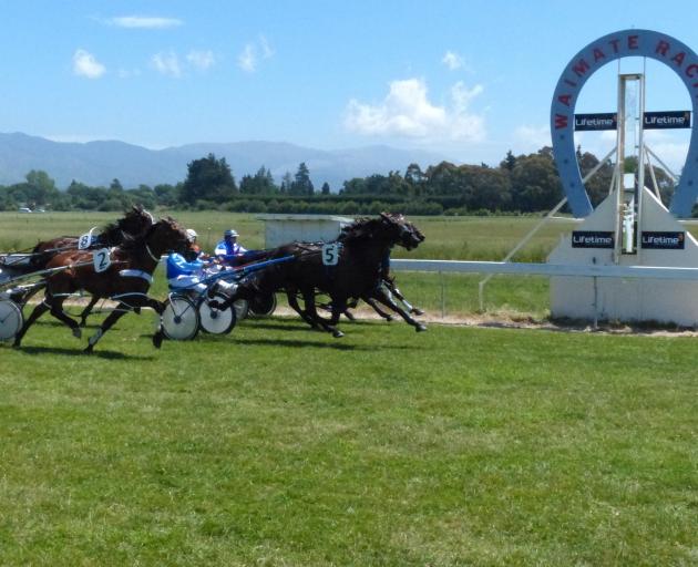 The Waimate Racing Club has not been issued a licence to hold a meeting at its home course after...