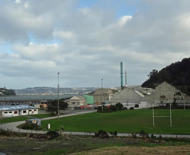 Moller Park, with Ravensdown's sheds in the background. Photo: RNZ