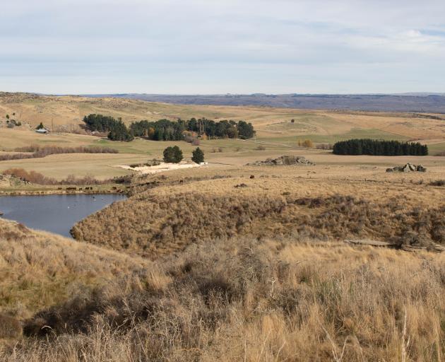 Foulden Maar, near Middlemarch.PHOTO: KIMBERLEY COLLINS