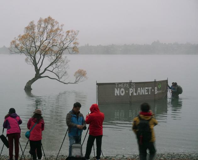 An unexpected surprise welcomed a group of tourists wanting to take a picture of the iconic Lake Wanaka tree yesterday morning. Photo: Sean Nugent