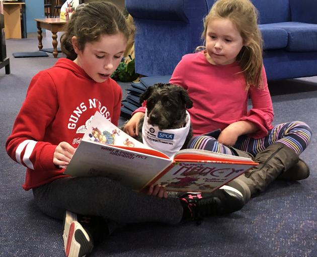Megan De Cort (12, left) and Emma Magee (6) read to Petal the St John/SPCA Outreach Therapy pet...