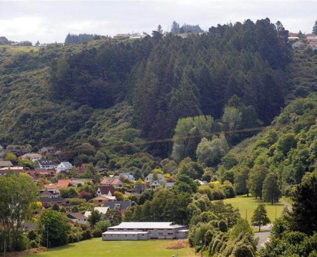 The 3ha stand of exotic trees at Frasers Gully, Dunedin, that blocks the sun at Glenross, below...