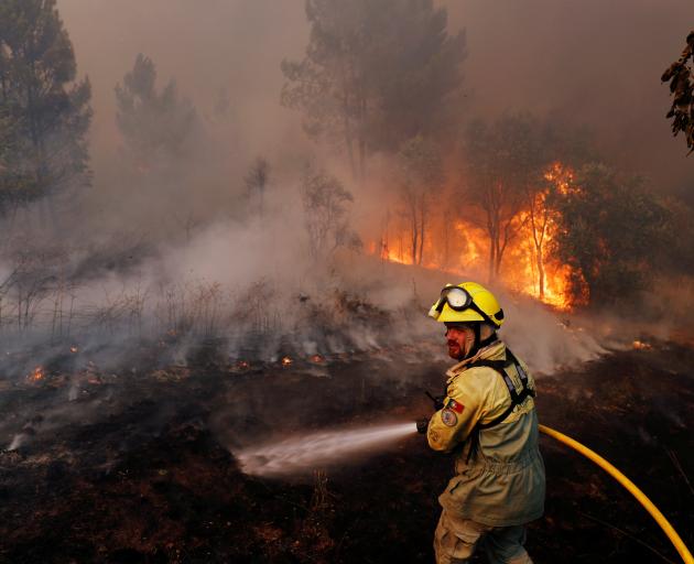 Firefighters help to put out a forest fire near the village of Vila de Rei. Photo: Reuters