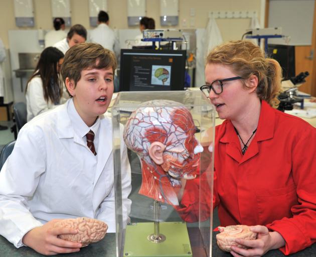 Year 11 James Hargest College pupil Darcy Herrick (15) and University of Otago neuroscience postgraduate student helper Hannah Twigg at the Brain Bee Challenge. Photo: Christine O'Connor