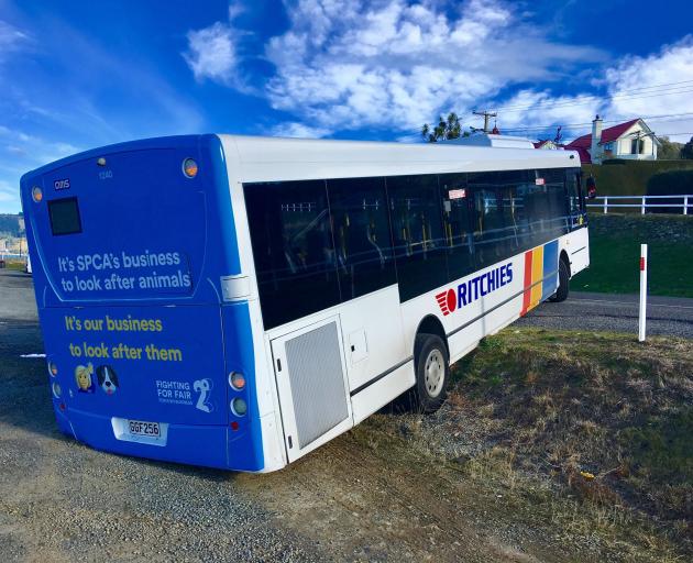 A bus became wedged on the side of the road in St Leonards this afternoon. Photo: Supplied