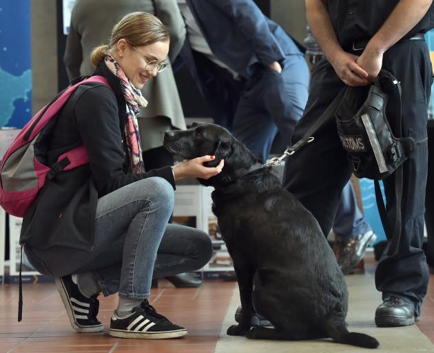 Student Shaniya Allan (21) pats a sniffer dog at the inaugural Humanities Career Week, at Otago...