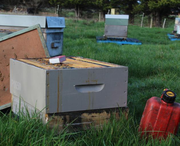 Preparing contaminated hives for destruction. Photos: Laura Smith