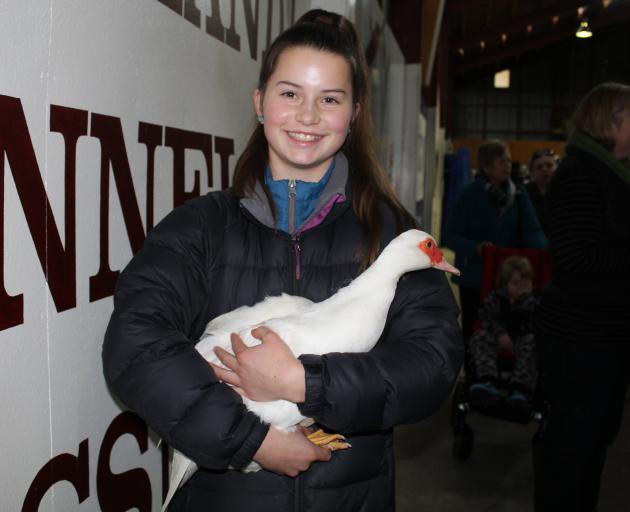 Invercargill Poultry and Pigeon Club member Hanna Lawlor (13) won titles for best under 12 months...