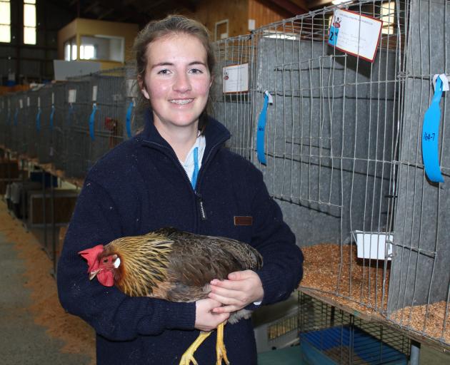 Invercargill Poultry and Pigeon Club member Denby Lawlor (18) holds her Leghorn Brown.