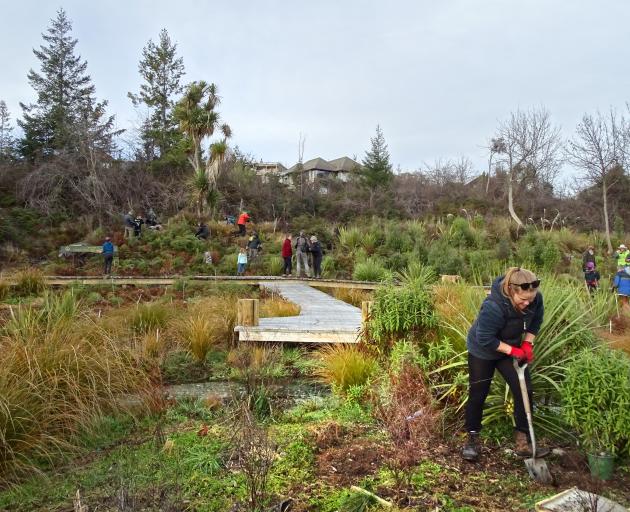 Te Kakano Aotearoa Trust receives funding from tourist operators wanting to offset their carbon...