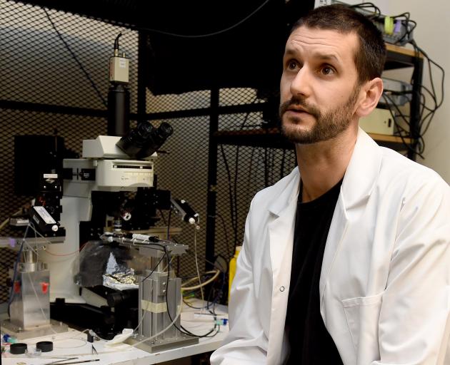 Dr Karl Iremonger at his University of Otago laboratory. Photo: Gregor Richardson