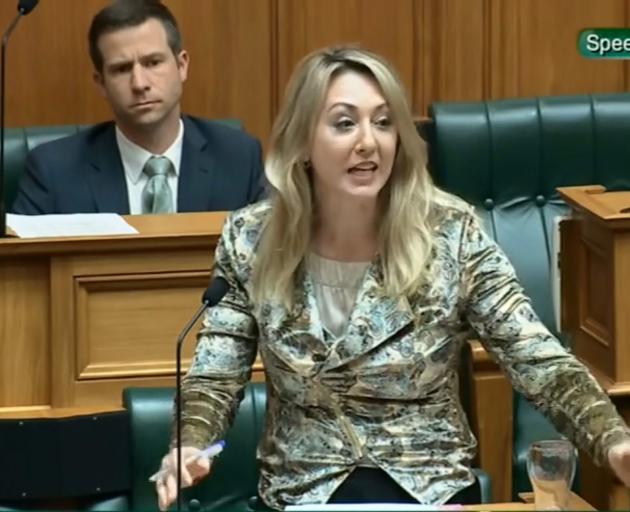 Invercargill MP Sarah Dowie speaks during the general debate in Parliament this week.PHOTO: NZ...