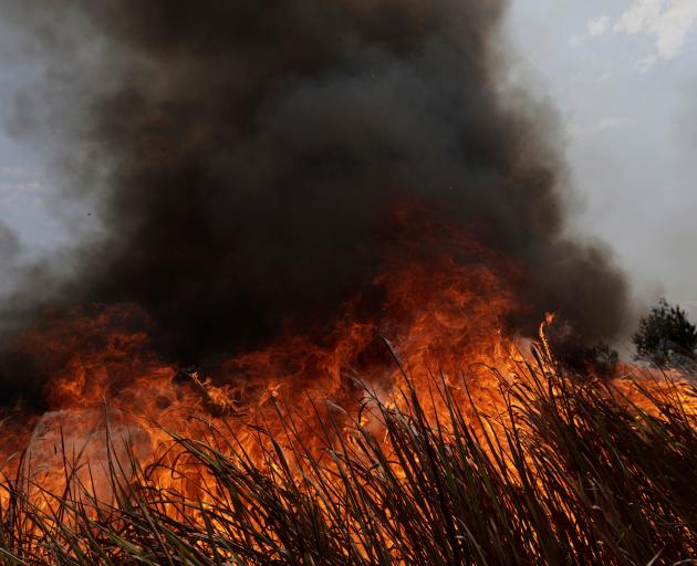 A tract of the Amazon jungle burns as it is cleared by loggers and farmers in Porto Velho. Photo:...