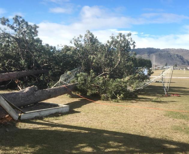 Dunstan High School's high ropes course lies destroyed after trees on which the course was built...