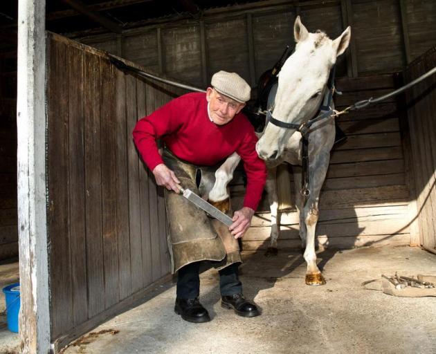 85-year-old farrier Brian Wilson is plying his trade as the plating inspector at Riccarton on race-days. Photo: Martin Hunter