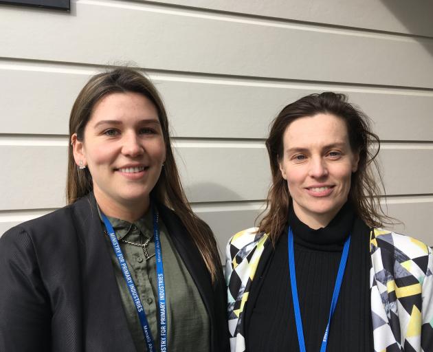 Ministry for Primary Industries' northern South Island regional managers Lydia Pomeroy (left) and Charlotte Austin's focus is to help farmers through the Mycoplasma bovis programme. Photo: Toni Williams