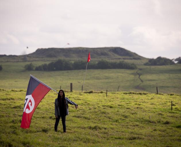 A flag-bearing protester takes a stand at Ihumatao last month. PHOTO: NZ HERALD
