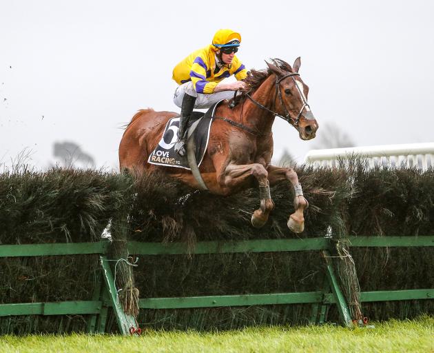 It's A Wonder clears a fence in fine style as he heads to victory in the Grand National...