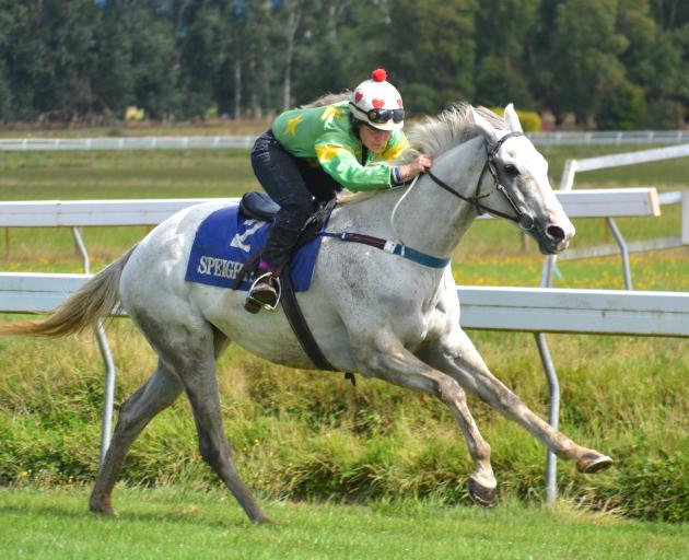 Hurdler Jackfrost (Emma Anderton) at Wingatui racecourse. Photos: Jonny Turner