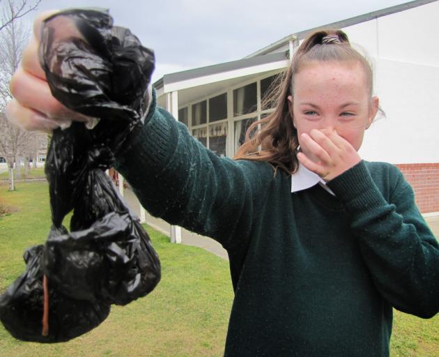 St Gerard's School council leader Hannah O'Connor (13) holds up a couple of the bags of dog faeces that have been dumped on the school grounds over recent days. Photo: Alexia Johnston