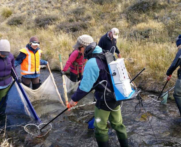 A team from Environment Canterbury, the Department of Conservation and the New Zealand Defence...