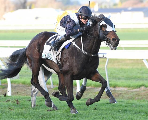 Central Districts mare Rosewood is set to start the favourite in tomorrow's Winter Cup at...