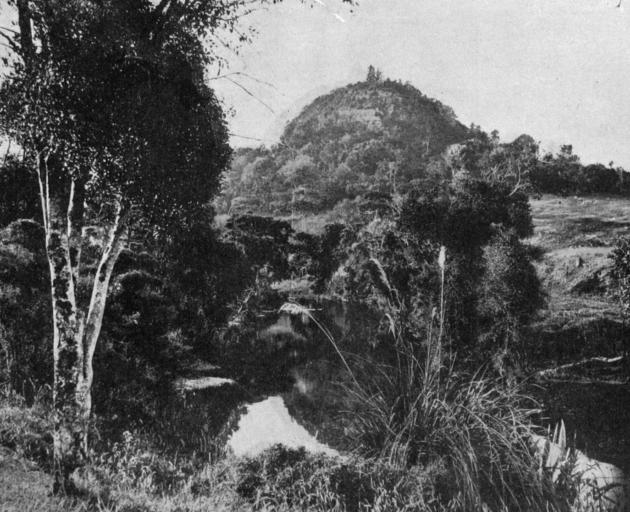 "The Scotsman's Bonnet'', Owaka Valley, Otago. - Otago Witness, 20.8.1919. 