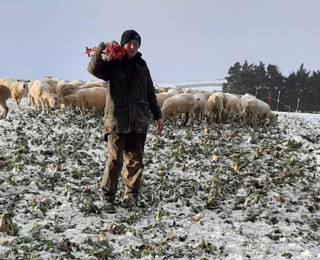 Hayden Robertson (17) shifts a break fence for ewes feeding on swedes at his family's farm at Blackrock, near Lee Stream on Monday. Photo: Craig Robertson