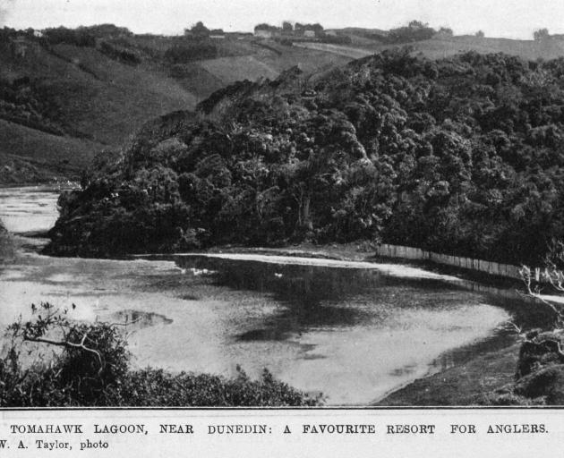Tomahawk Lagoon, near Dunedin, a favourite resort for anglers. — Otago Witness, 29.8.1919.  ...