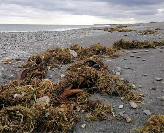 Rubbish from the old Fox Glacier landfill. PHOTO: SUPPLIED