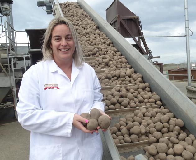 Charlotte Bowen checks out some potatoes at the Washdyke factory. Photo: Chris Tobin