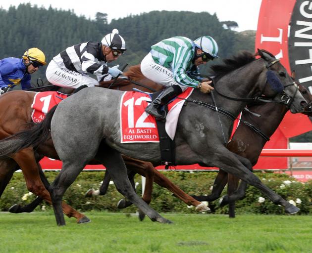 Emily Margaret is one of several smart gallopers who will open their spring campaigns at...