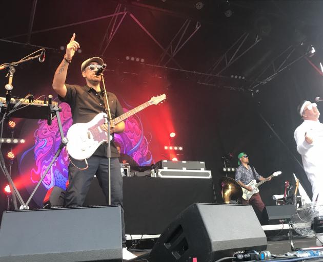 Fat Freddy's Drop played at Queenstown's John Davies Oval in January this year. PHOTO: Daisy Hudson