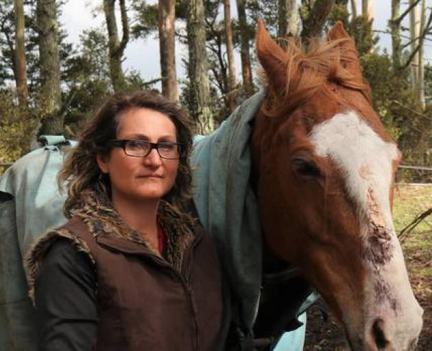 Ingrid Wilkinson with Molly, who was lucky to escape with just a gash to her nose and minor cuts after smashing through two fences and spending five hours in a stream after Saturday night's storm. Photo: NZ Herald