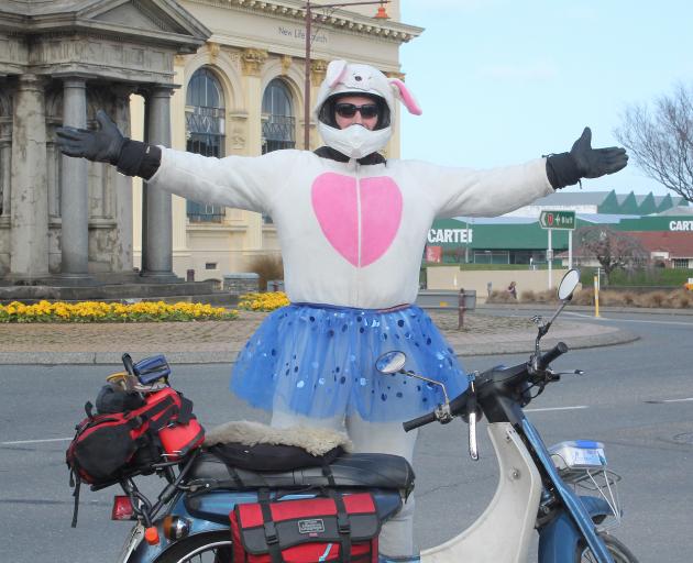 Famous travelling rabbit Harvey Throttlestop made it from Christchurch to Invercargill yesterday...