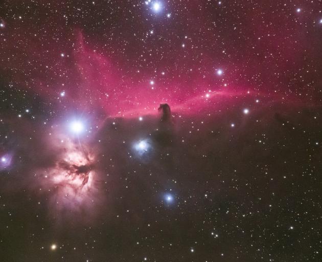 The Horsehead Nebula. Photo: Fraser Gunn 