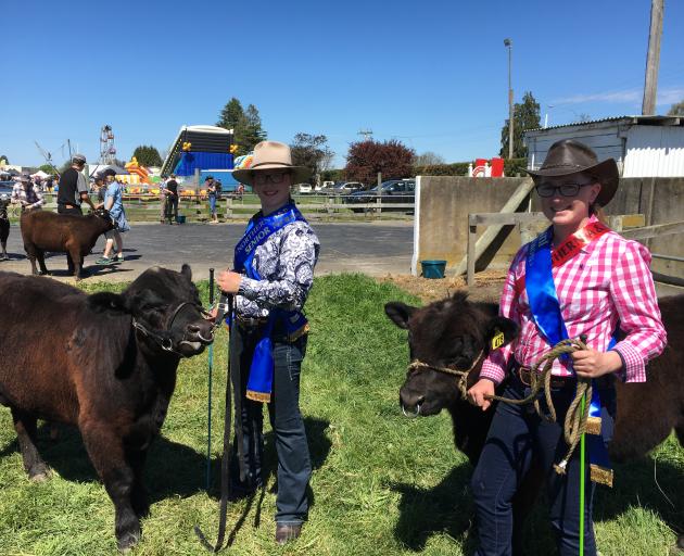 Georgia Rhodes, left, and Hillary Cooper lead some lowland cattle at last year's Rangiora Show. Photo: File