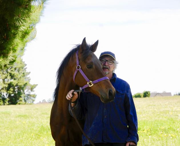 John Bolstad with Bolstad Super Smooth HSH, one of the two Australian heritage stock horse stallions he has imported to establish a stud on his Fernside property. Photo: Shelley Topp