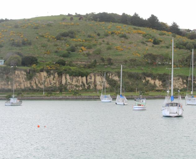 The subdivision of Forrester Heights at Cape Wanbrow will be once again up for discussion, Waitaki Mayor Gary Kircher says. Photo: Hamish MacLean