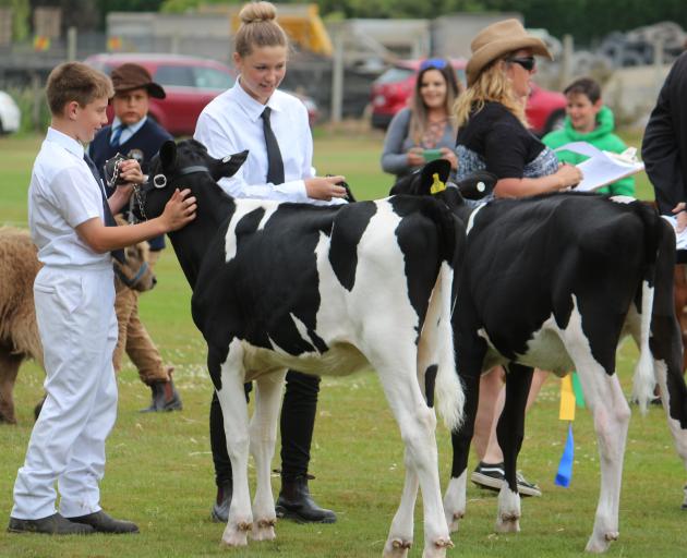 All Breeds Dairy Handler competitors Ashley Wendelgelst and Chloe Thomson chat during the calf class line up at Tokomairiro A&P Show in December, 2017. Photo: Katy Button