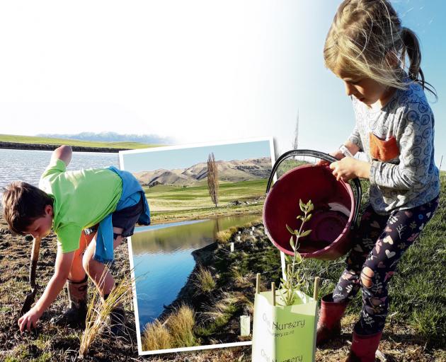Eddie Weir, left, (8) gets stuck in digging holes for riparian planting. Marley Weir (7) helps plant one of the,many natives that went into the Weir family's first riparian planting project on an irrigation damn in Waipiata. Photo: Alice Scott