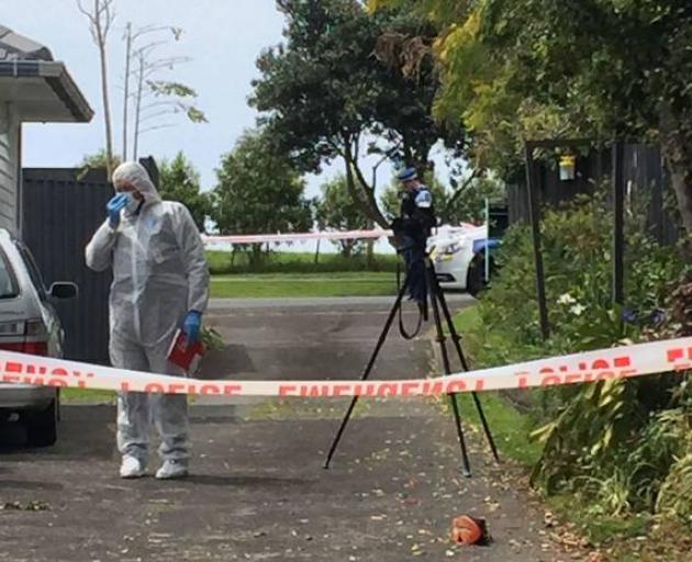 Police are still appealing for information after the incident in Te Atatu on Sunday. A person who...