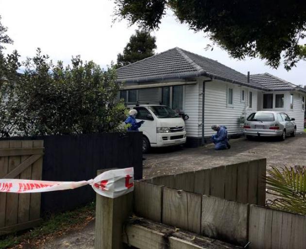 Forensic investigators examine a van on Te Atatu Rd after the owner reported catching two men...